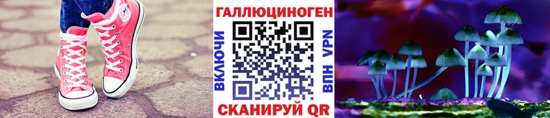 дарк нет телеграм  Химки  Галлюциногенные грибы мицелий 