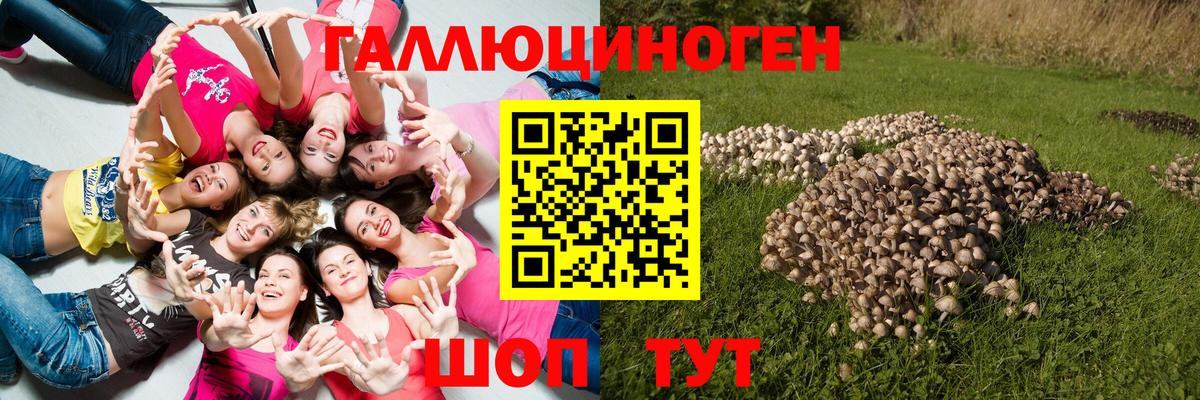 Псилоцибиновые грибы MAGIC MUSHROOMS  Вход с VPN  Химки 
