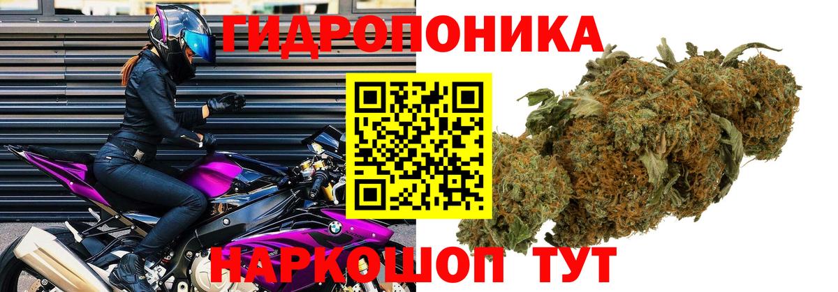 Химки  Каннабис OG Kush  Конопля план  Вход с VPN  Канабис LSD WEED 